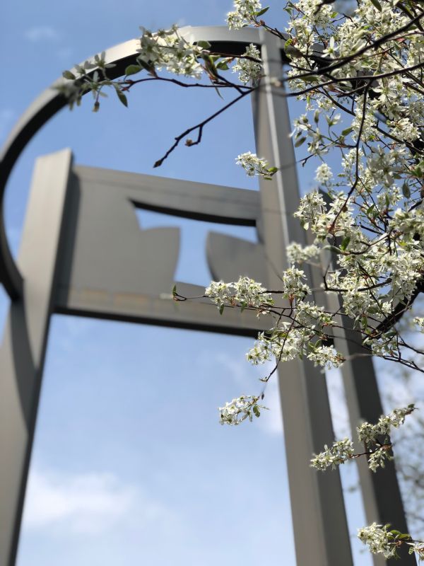 bell tower with blossoming tree