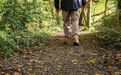 AdobeStock_601205472 copy