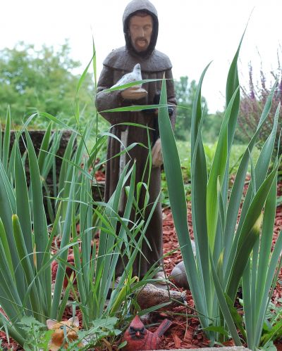 Saint Francis