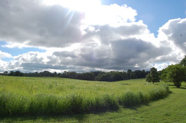 Prairie